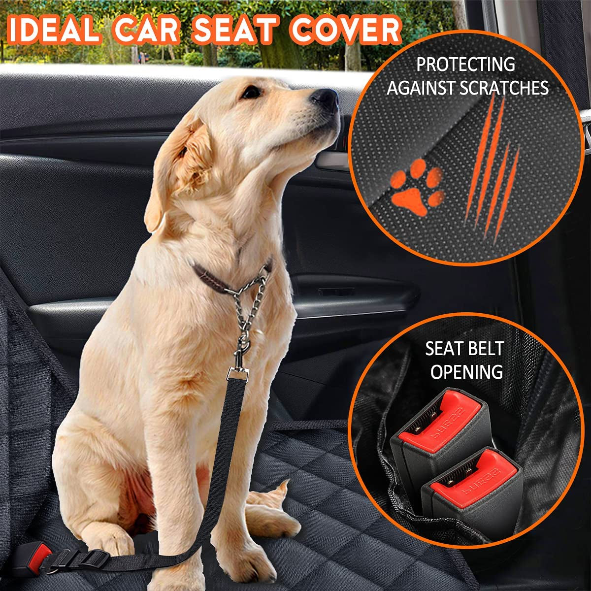 AutoPaws Deluxe