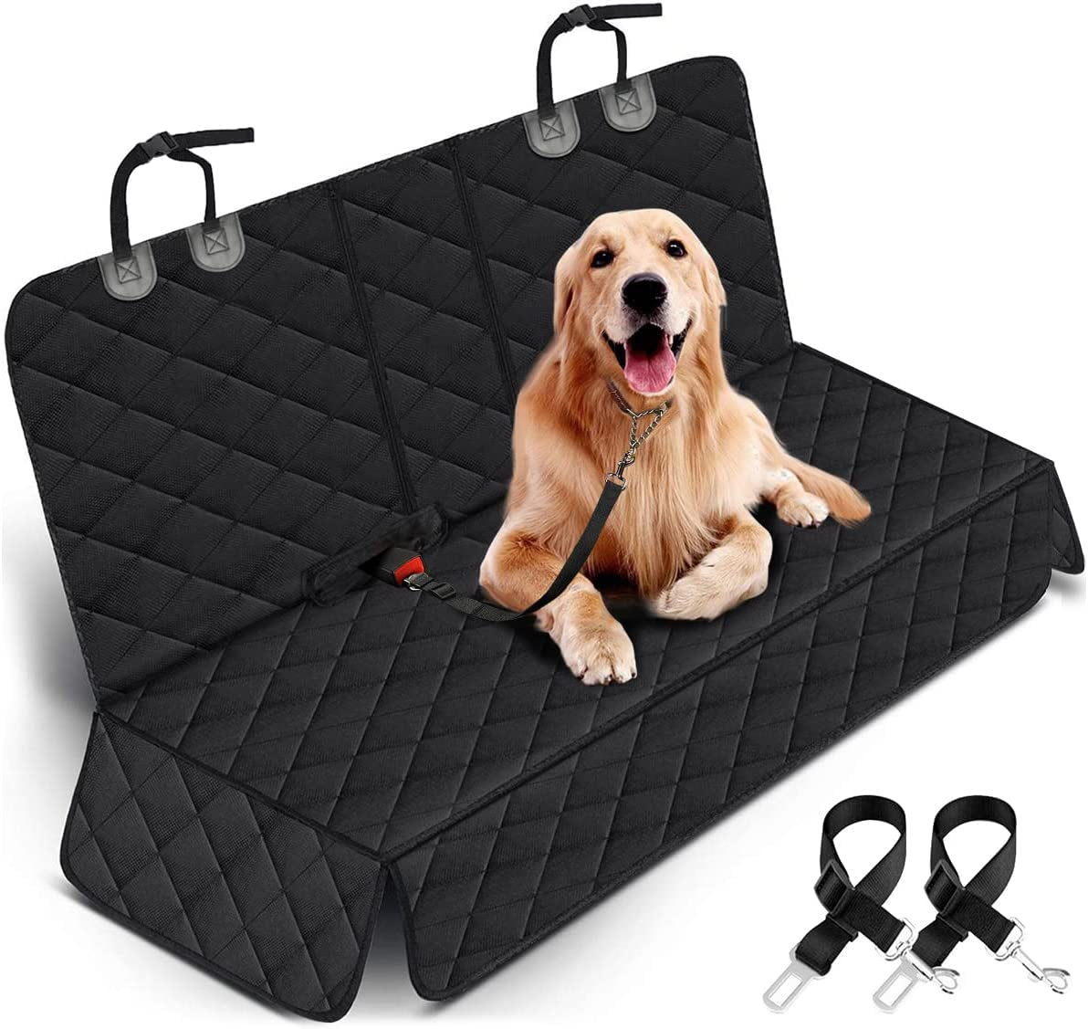 AutoPaws Deluxe
